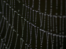 Single Point of Failure