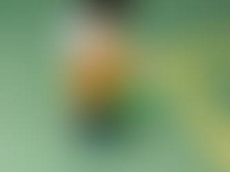 Semana do Brincar - Bolinha no copo