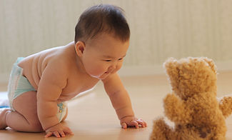 赤ちゃんのコース