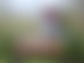 Looking After Older Horses - Freddie Fox