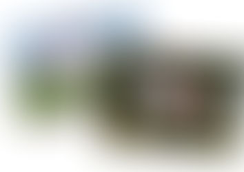 12 Days of Christmas - Day 8: Anatomy fun