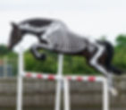 gillian higgins horses inside out mid flight The Biomechanics of Jumping: skeleton anatomy