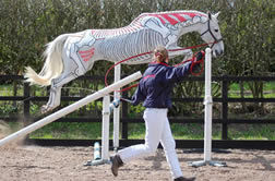 gillian higgins horses inside out painted horse lunging jumping mid flight