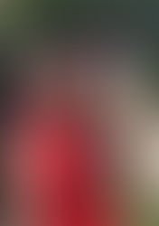 Saddling The Sensitive Lusitano