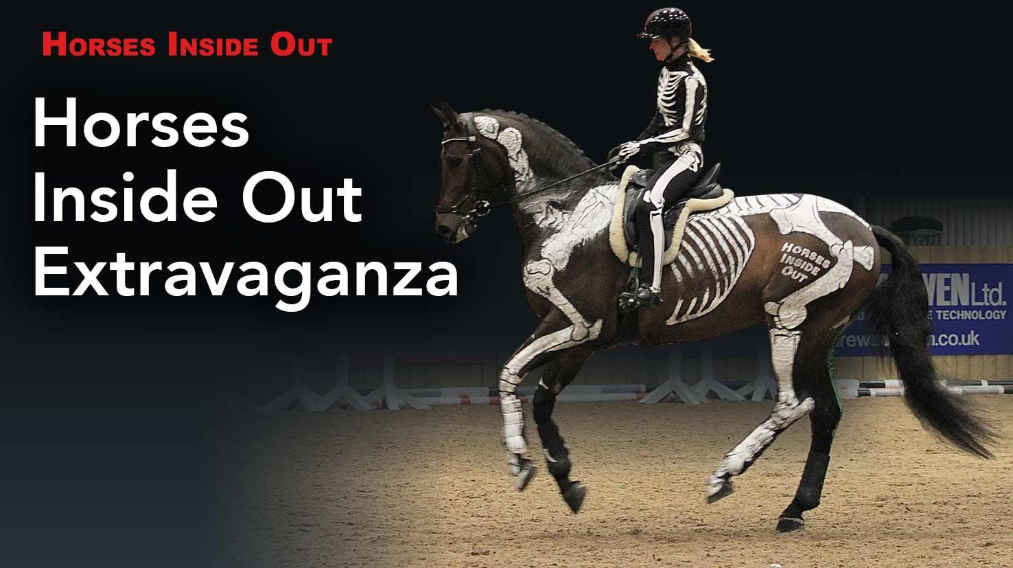 Horses Inside Out Extravaganza