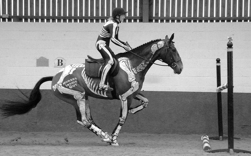 gillian higgins horses inside out approach The Biomechanics of Jumping: Hannah Lorrimer and Marley