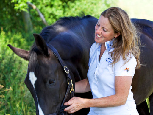 7 Steps to Becoming a More Harmonious Rider