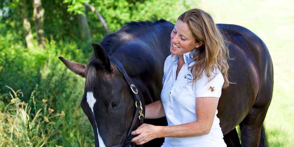 3 Days with Gillian Higgins and Horses Inside Out