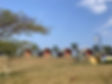 thumbnail_IMG_9670.jpg