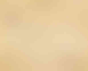 图5 1920年代末期,继星柔周边之后,在巴生附近,发展出另一个凤梨种植和生产罐头的工业区。陈嘉庚正是巴生的先驱!(出自《新史料3》)