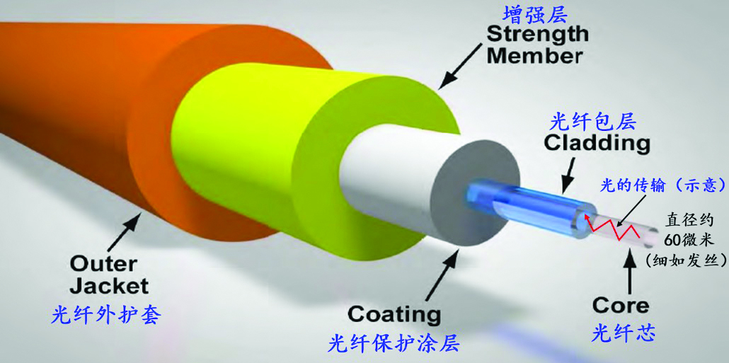 典型的光学纤维构造图（作者绘制）
