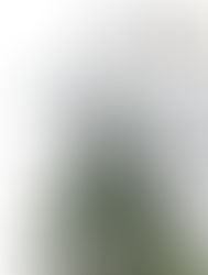 二战胜利80周年——回顾日治