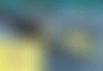 典型海底光纤通讯缆构造图 (作者绘制)