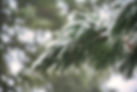 winter-7626888_1280.jpg