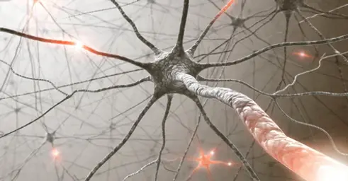 neural_therapy.webp