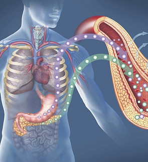 insulin-pancreas_edited.jpg