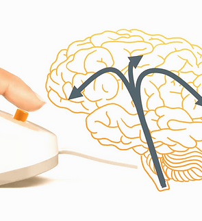 OWC+APP+Services+Images-PNOE-2048x2048-Brain+Gauge_edited.png
