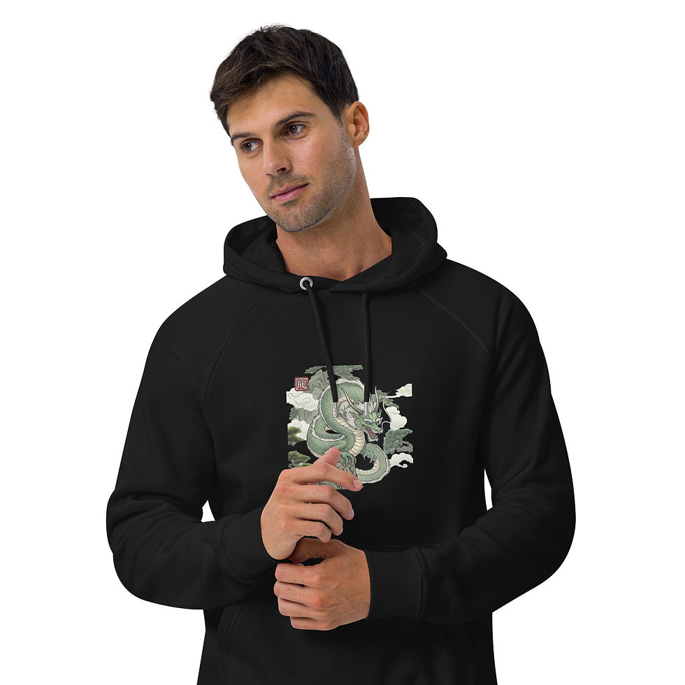 Mens Dragon eco raglan hoodie
