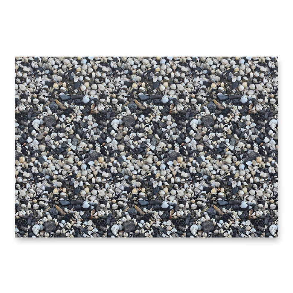 Thumbnail: Seashell Wrapping paper sheets