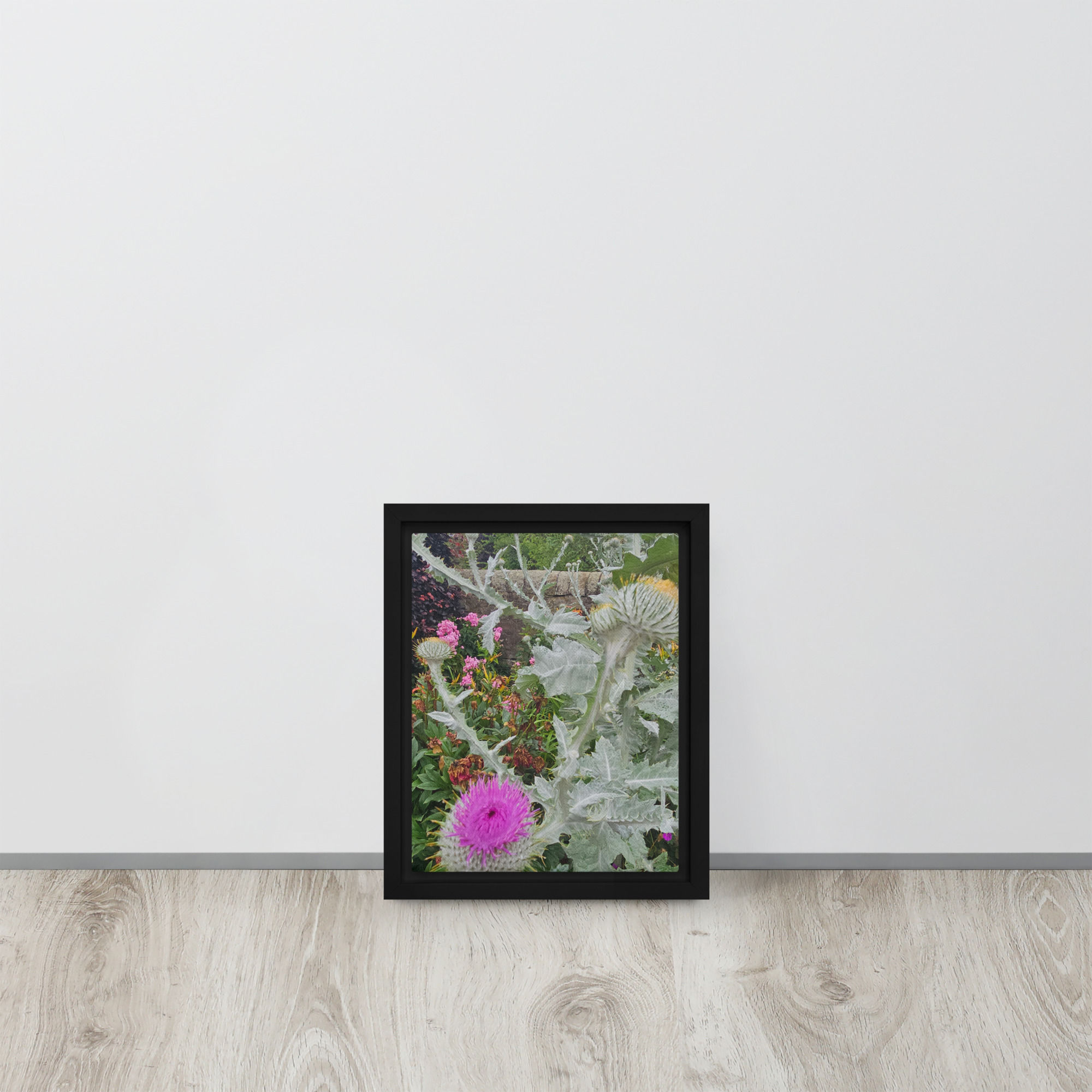 Thistle Framed canvas