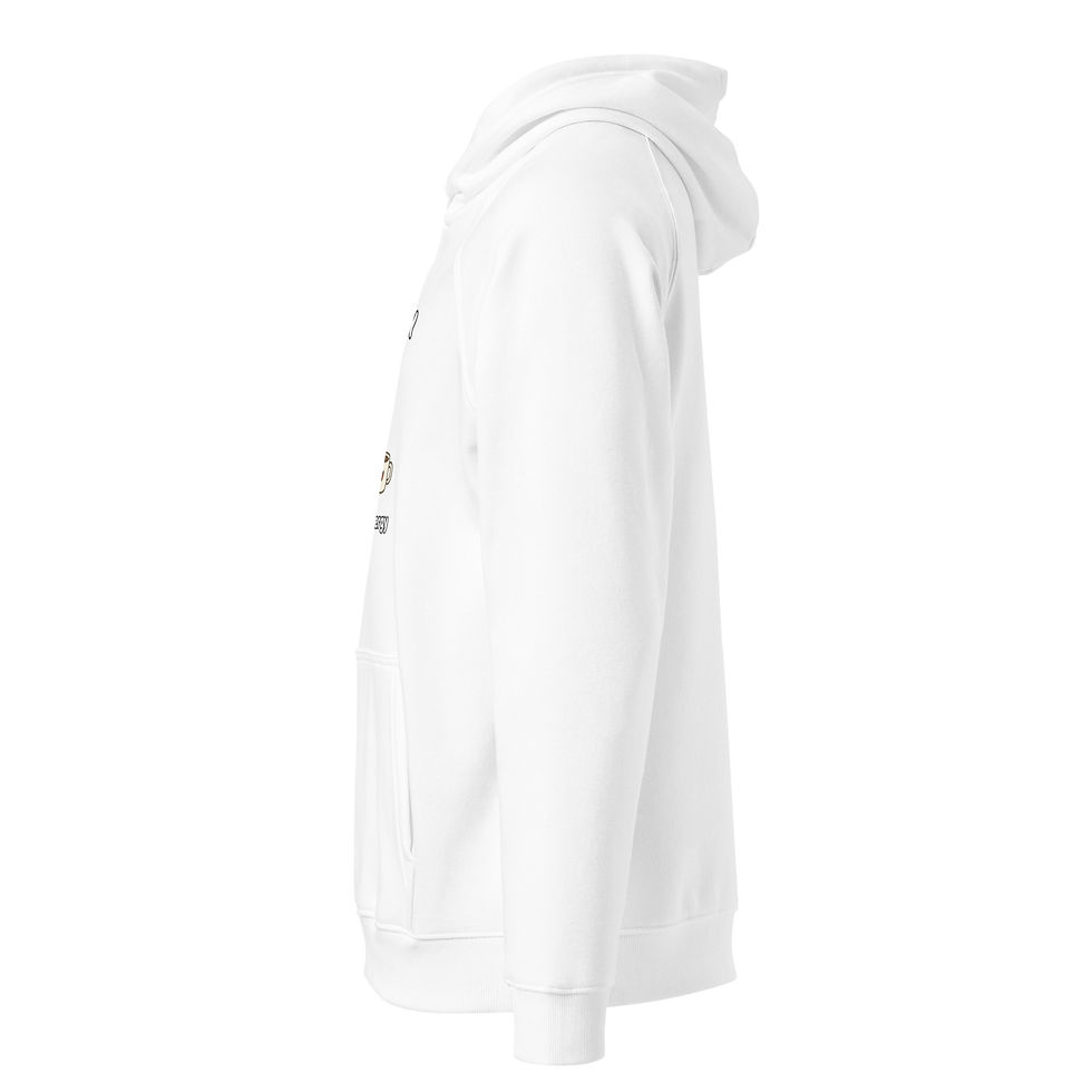 Thumbnail: I'm Not Lazy Unisex eco raglan hoodie