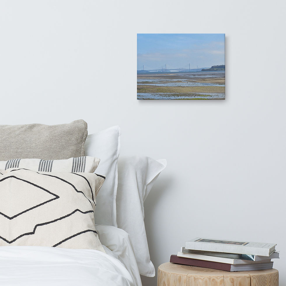 Thumbnail: Blackness Beach Canvas