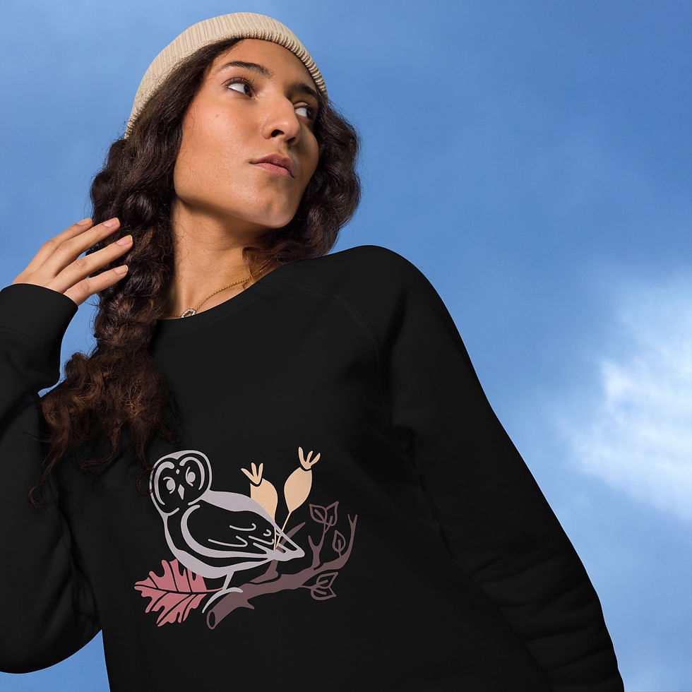 Owl organic raglan sweatshirt