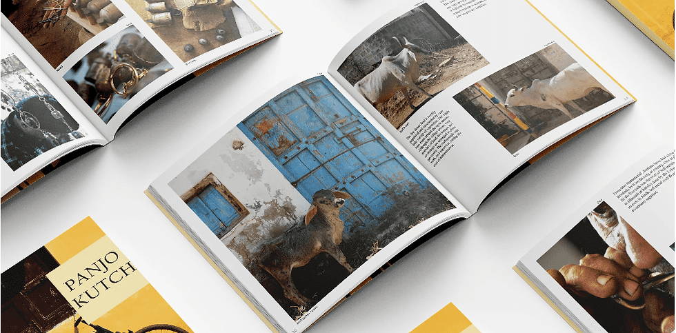 Screenshot 2024-02-02 223726.png