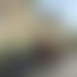 bikes near Carcassonne