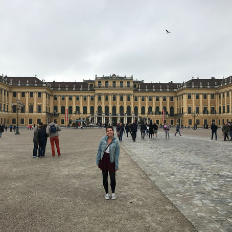 Austria was a Wien-er