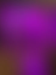 Red Light Therapy vs. Infrared Sauna