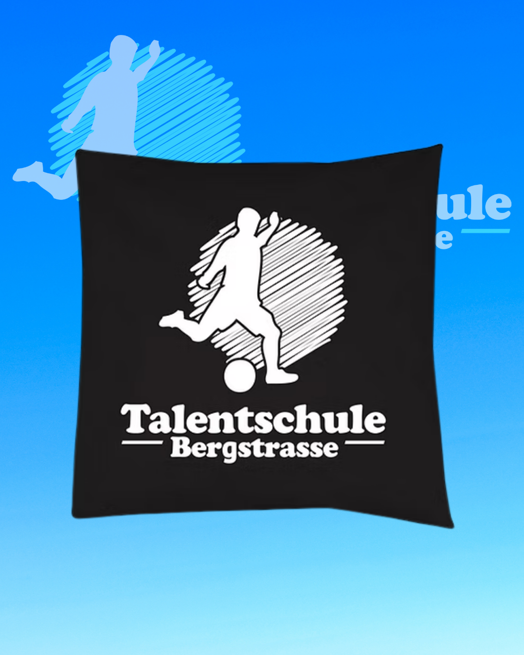 Talentschule Kissen