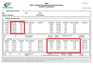 Extrato do CNIS