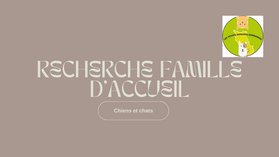Recherche famille d’accueil