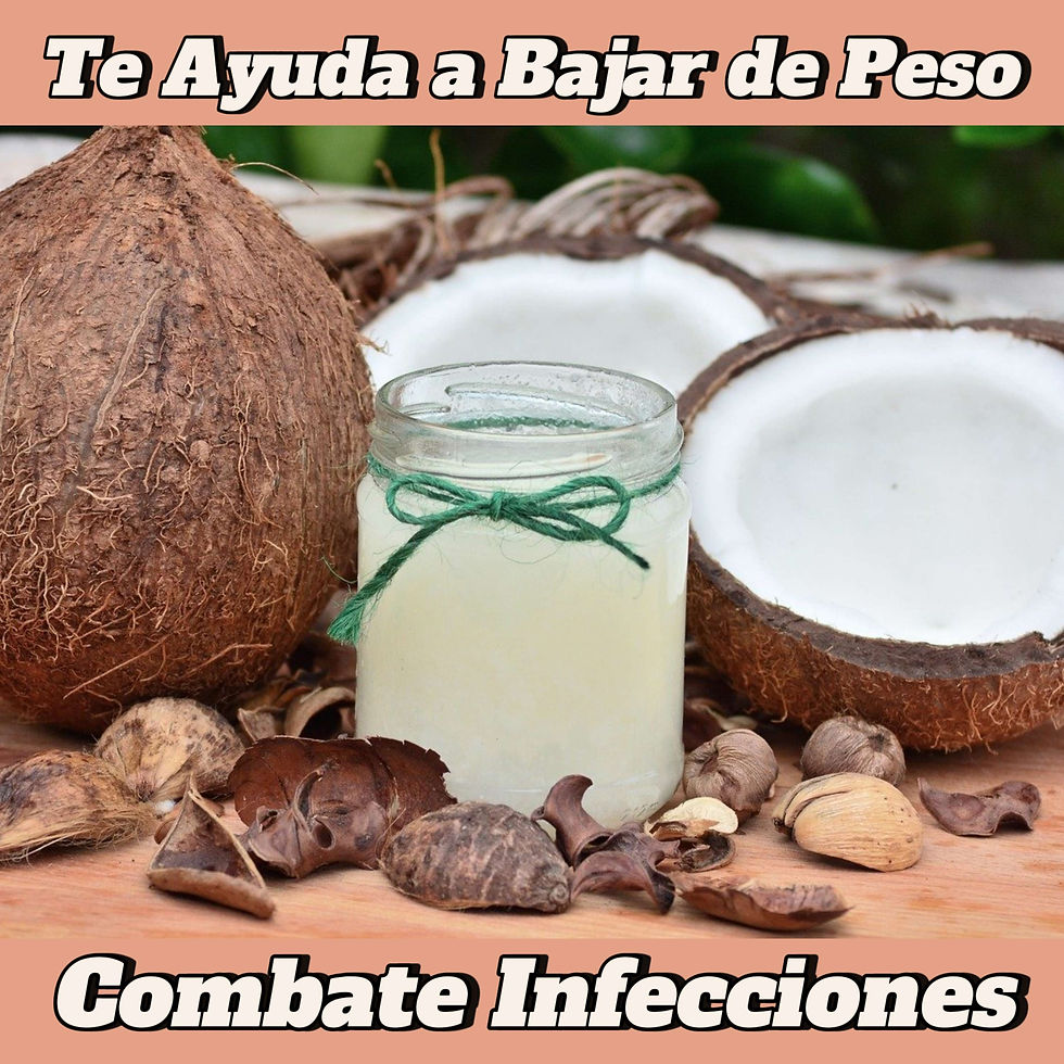 Aceite de Coco: Propiedades, Beneficios y Usos Respaldados por la Ciencia