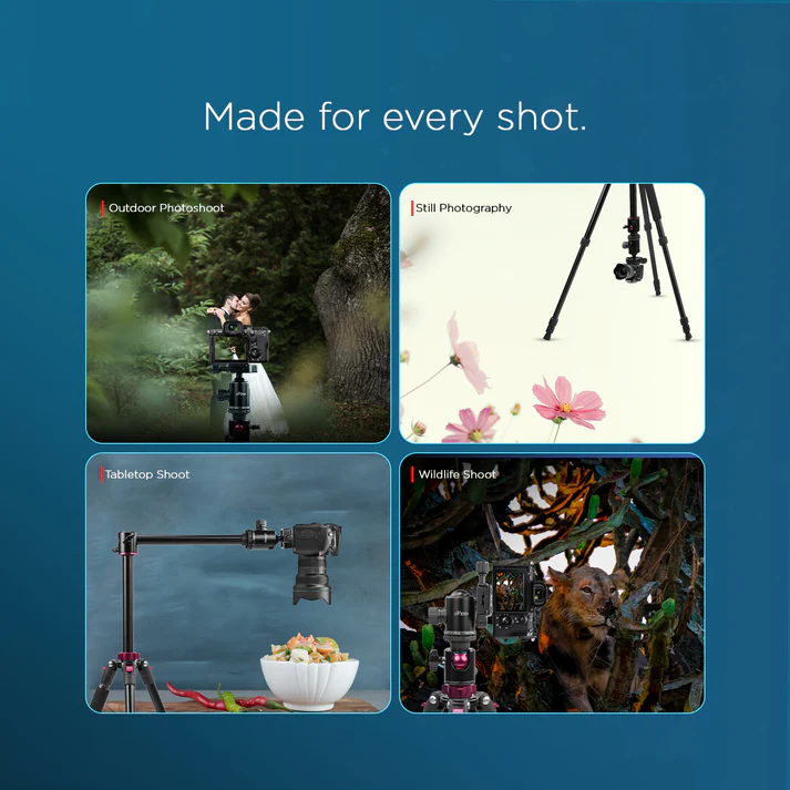 Four photography scenes: Outdoor photoshoot in greenery, still photography with flowers, tabletop with food and camera, and wildlife shoot with animals.