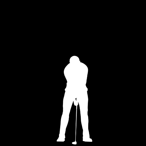 Rtz golf moving icon.gif