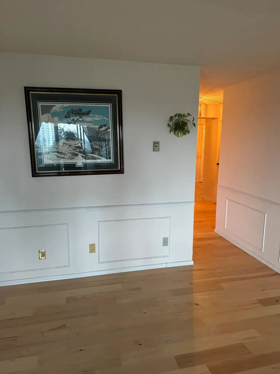 Light maple hardwood flooring installed in a bright condo unit, contrasting with white baseboards and smooth neutral-tone walls.