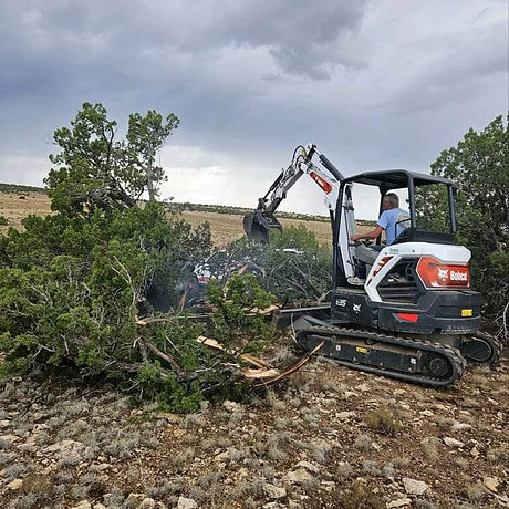 land clearing