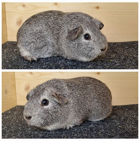 Nanuk, Geb. 3. 12.2023.jpg