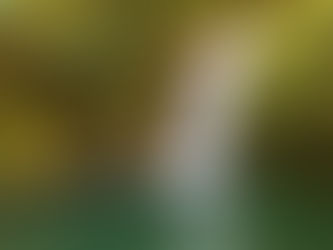 Ein perfekter Wasserfall für einen abenteuerlichen Tag