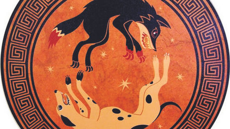 Ο σκύλος: Ένας διαχρονικός σύντροφος και μούσα