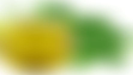   Τα μαγικά έλαια θέλουν προσοχή!