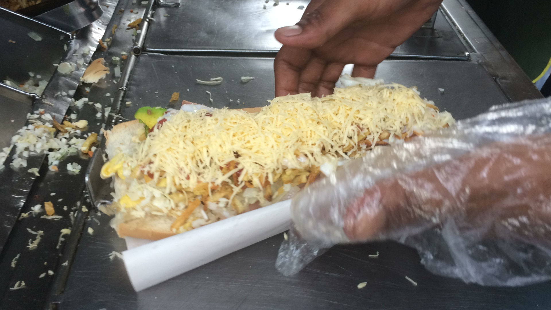 Perro Especial