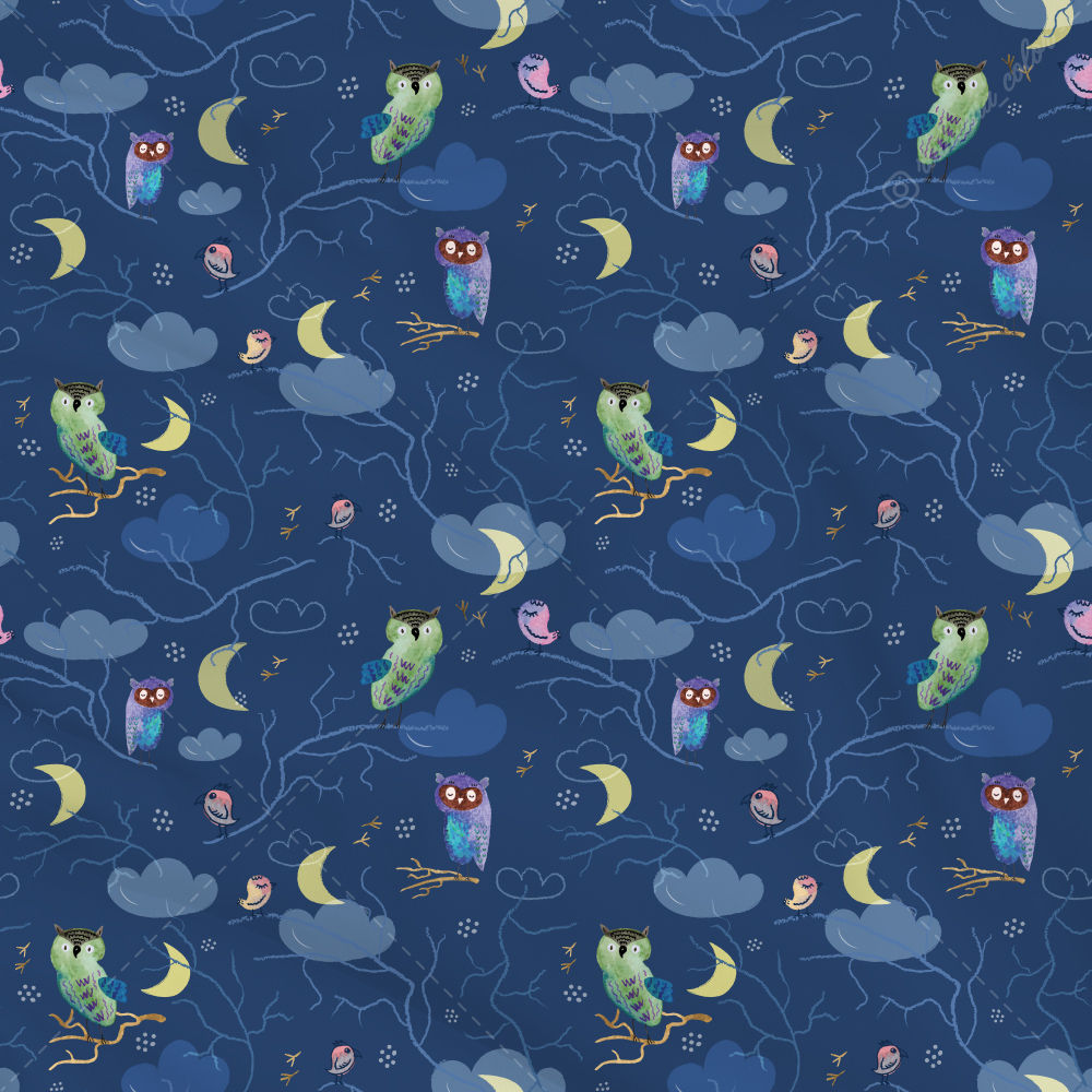 180401. Owls (on dark)