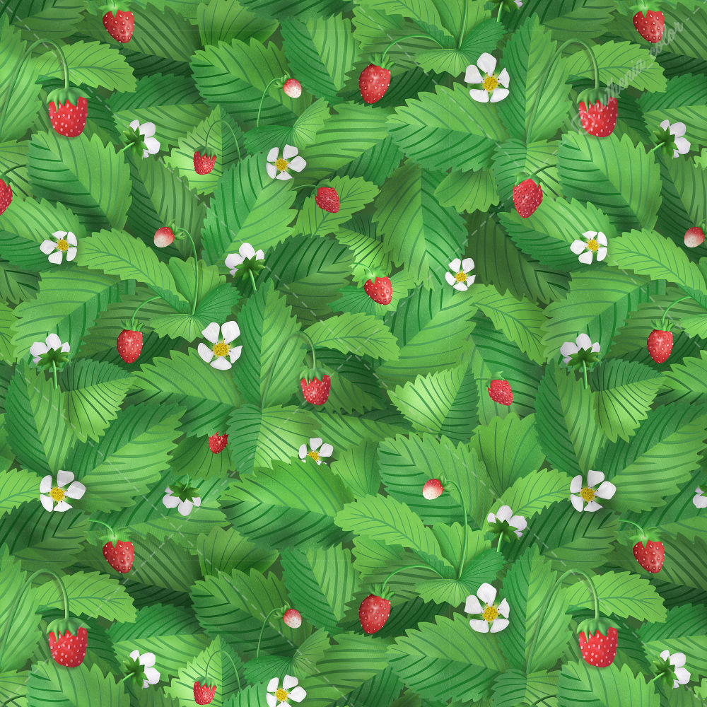 200506. Strawberries