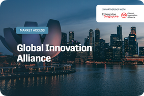 Global Innovation Program