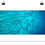 Thumbnail: Water