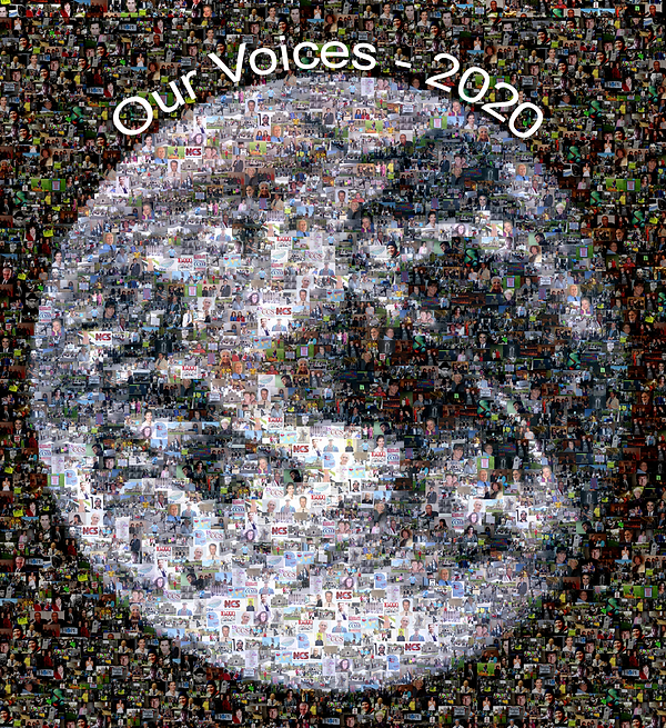 Our-Voices-earth-Mosaic.png