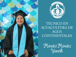 graduados TM-28